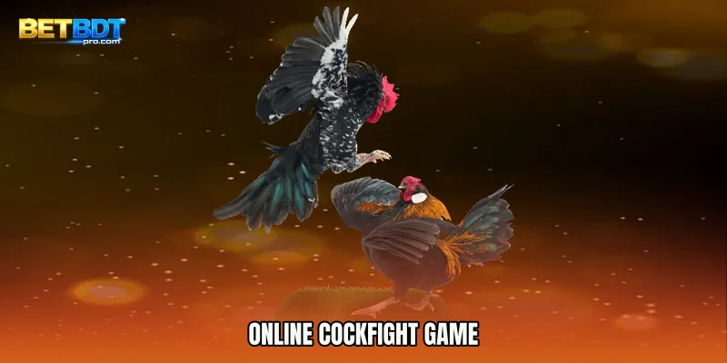 Online Cockfight game