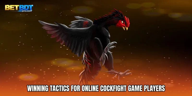 Winning Tactics for Online Cockfight game Players