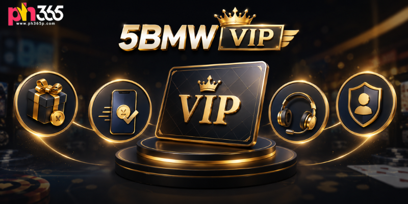Key Features of 5BMW VIP